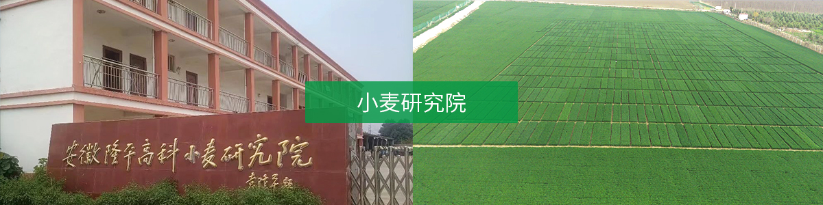 微信图片_20250904111800_22_189 微信图片_20250904111800_22_189